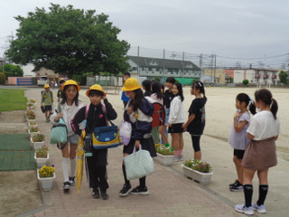 Dsc00809