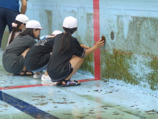 Dsc00895